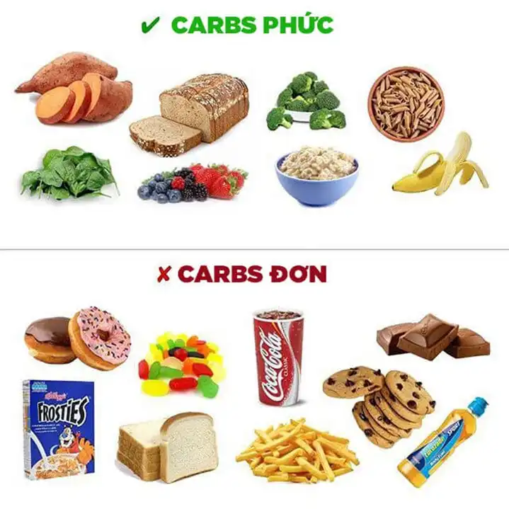 5-duong-chat-carbs